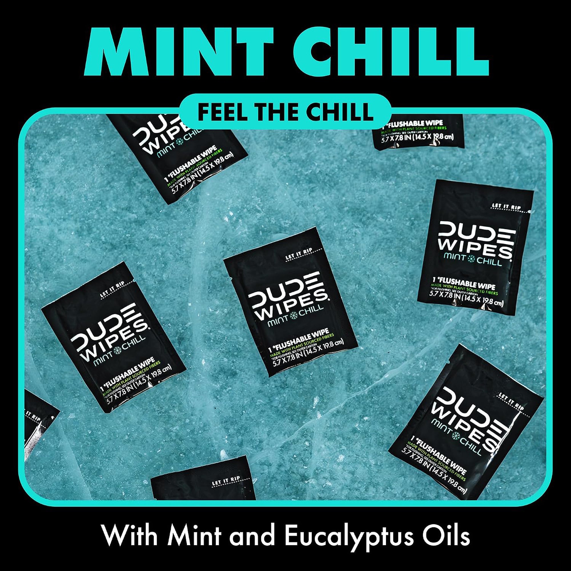 DUDE Wipes - Mint